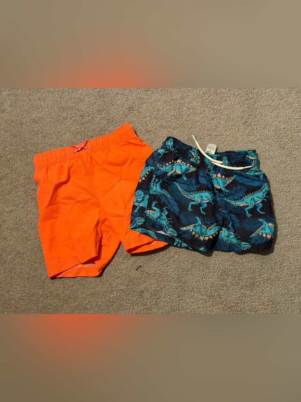 Boys Swim Shorts Duo - 4T
